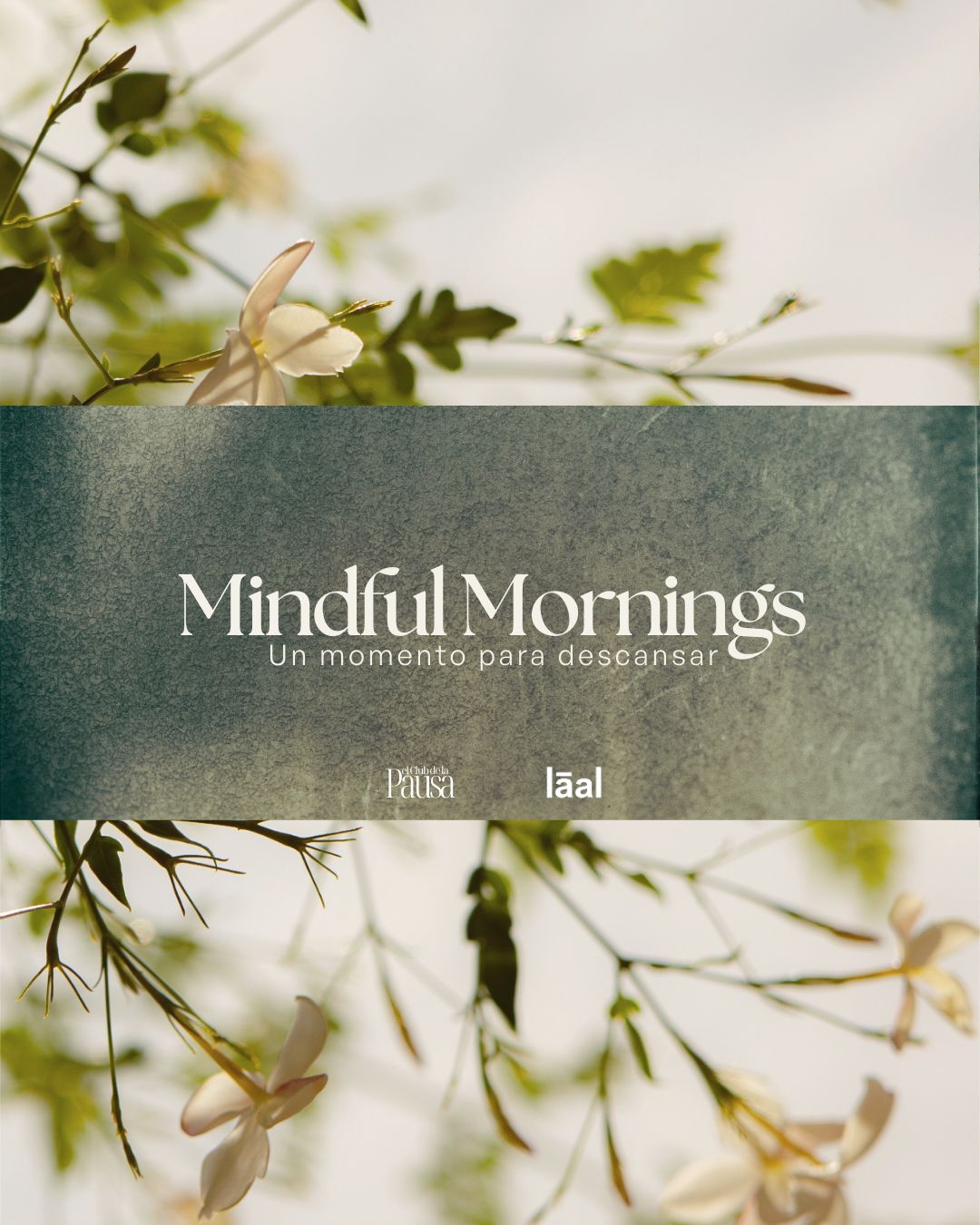 Mindful Mornings